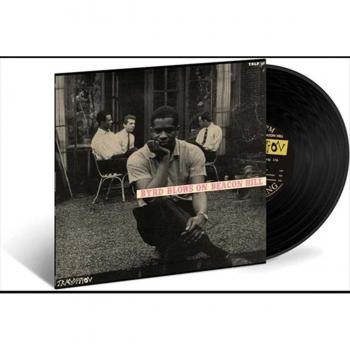 Beacons der Vogelstimmen – 2024‑2025 Auflage