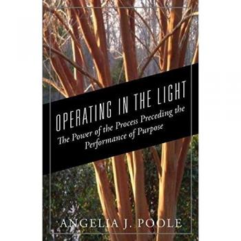 OPERATING IN THE LIGHT: The Power of the Process Preceding the Performance of Purpose