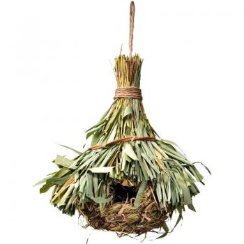 Parrot Hanging Cave Birdhouse