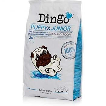 Dingo Puppy & Junior