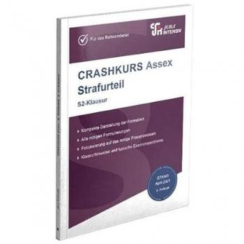 CRASHKURS Assex Strafurteil