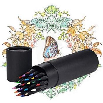 24 Count Colored Oil Pencils for Drawing