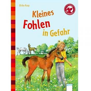 Kleines Fohlen in Gefahr: Der Bücherbär: Eine Geschichte für Erstleser