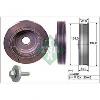 Assemblage complet poulie/damper INA 544 0091 20 pour Renault