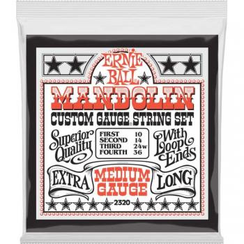 Jeux de Cordes Medium pour Mandoline Ernie Ball 10-36