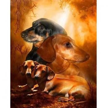 Peinture Strass Animaux 20X30CM