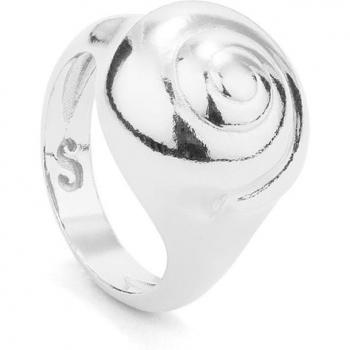 Anillo Secrecy de plata platino