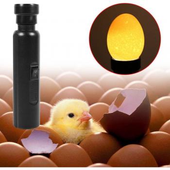 Incubadora Solar Candler con Enchufe UE