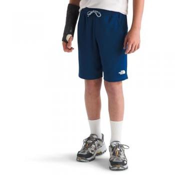 Shorts Blu NF0A86U4D1R – The North Face
