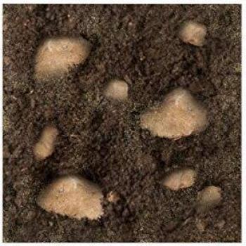 Terriccio per Piante di Cappero VIALCA