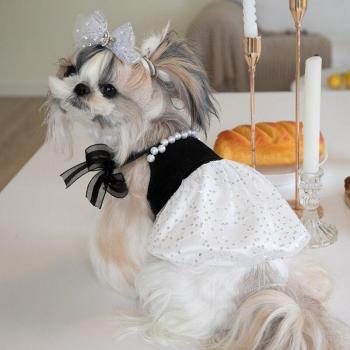 Chihuahua Sequin Dress