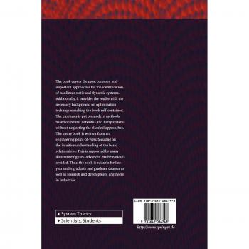 Nonlinear System Identification