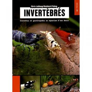Invertébrés: Crevettes et gastéropodes en aquarium d'eau douce