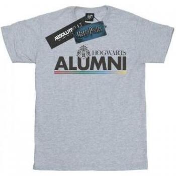 Harry Potter Men's Hogwarts Alumni T-Shirt L Grey