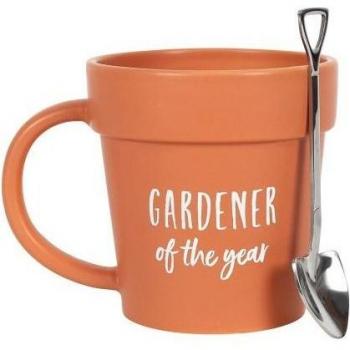 Giardiniere Orange Cup