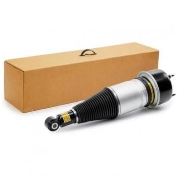 Amortecedor Pneumático 4118A0110 RIDEX