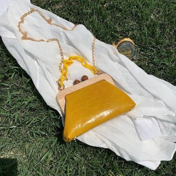 Trendy Crocodile Chain Messenger Bag