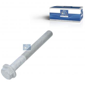 Spare Parts DT 4.81670: Bullone / Vite