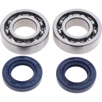 DRELD Crankshaft Bearing and Oil Seal Kit for STIHL 018 017 MS170 MS180