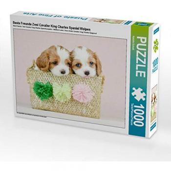 Puzzle-Bild Beste Freunde mit zwei Cavalier King Charles Spaniel Welpen
