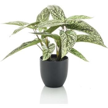 Fioriera Calathea Artificiale Dots 38 cm – Furniture Limited