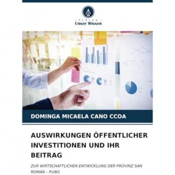 Cano Ccoa, Dominga Micaela: AUSWIRKUNGEN ÖFFENTLICHER INVESTITIONEN UND IHR BEITRAG