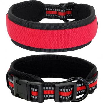 Reflective Nylon Dog Collar