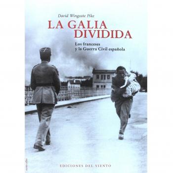 LA GALIA DIVIDIDA