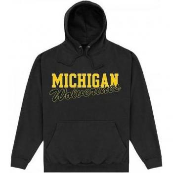 Michigan Wolverines Adult Logo Hoodie Unisex L Grey