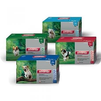 Advantix Pipetas Spot On Para Perro Hasta 4 Kg 24 Pipetas