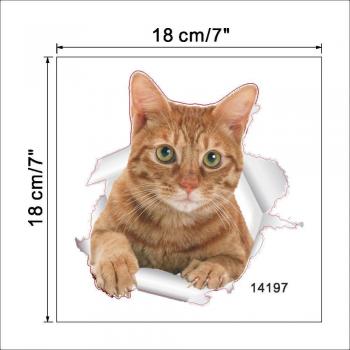 Chat Détour Salon