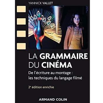 La grammaire du cinéma : De l'écriture au montage : les techniques du langage filmé