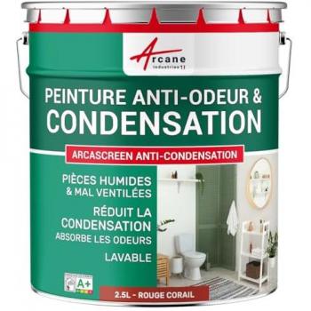 Peinture Moisissure & Condensation Rouge Corail RAL 3016