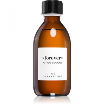 Ambientair The Olphactory Zitrus & Shades Aroma Nachfüllung 250 ml
