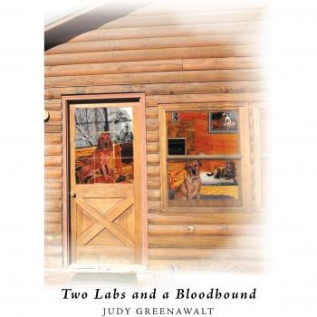 Two Labs and a Bloodhound: The Adventures Begin