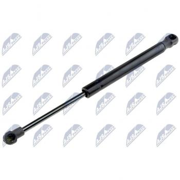 Cargo Boot Support Gas Spring NTY AE-FT-012