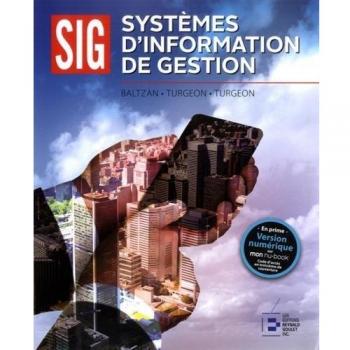 Systèmes d'information de gestion
