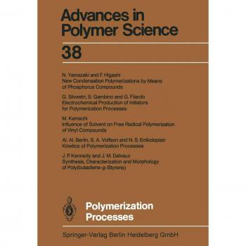 Berlin, Al. Al.: Polymerization Processes