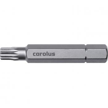 Punta destornillador Carolus 6045.05 5/16 XZN M5 50 mm