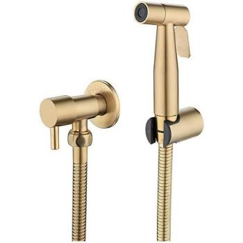 Pack WC Premium avec Douche d'Angle en Or Brossé