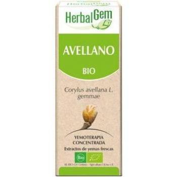 Avellano 50ml Macerado Glicerinado Herbalgem