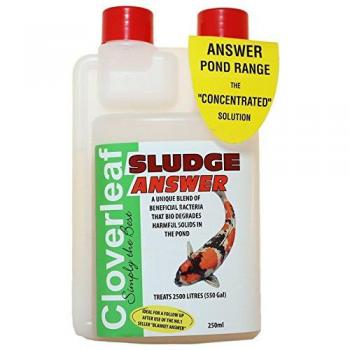 Eco‑Filter Sludge Remover for Koi Tanks