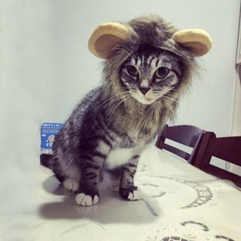 Autumn/Winter Lion Mane Pet Costume