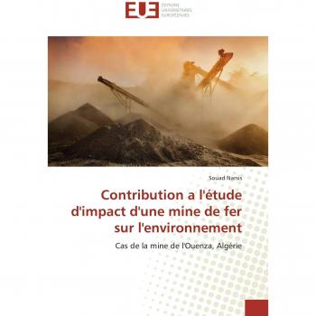 Contribution a l'étude d'impact d'une mine de fer sur l'environnement