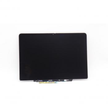 Módulo de Pantalla FRU 500EG4