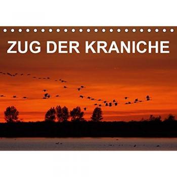 Zug der Kraniche