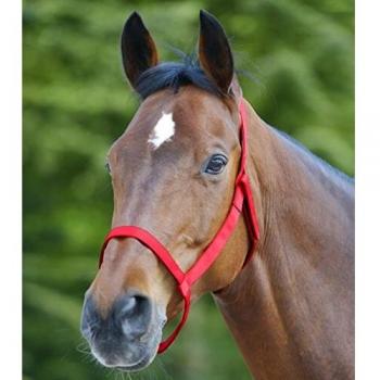 Waldhausen Weidehalfter für Ponys