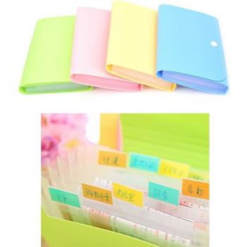 Small Plastic Document Wallet