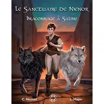 Le sanctuaire de nienor Tome 1