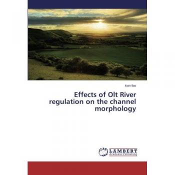 Effects of Olt River regulation on the channel morphology